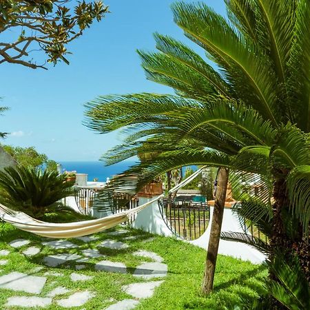 Villa Araucária Casamicciola Terme Exterior foto