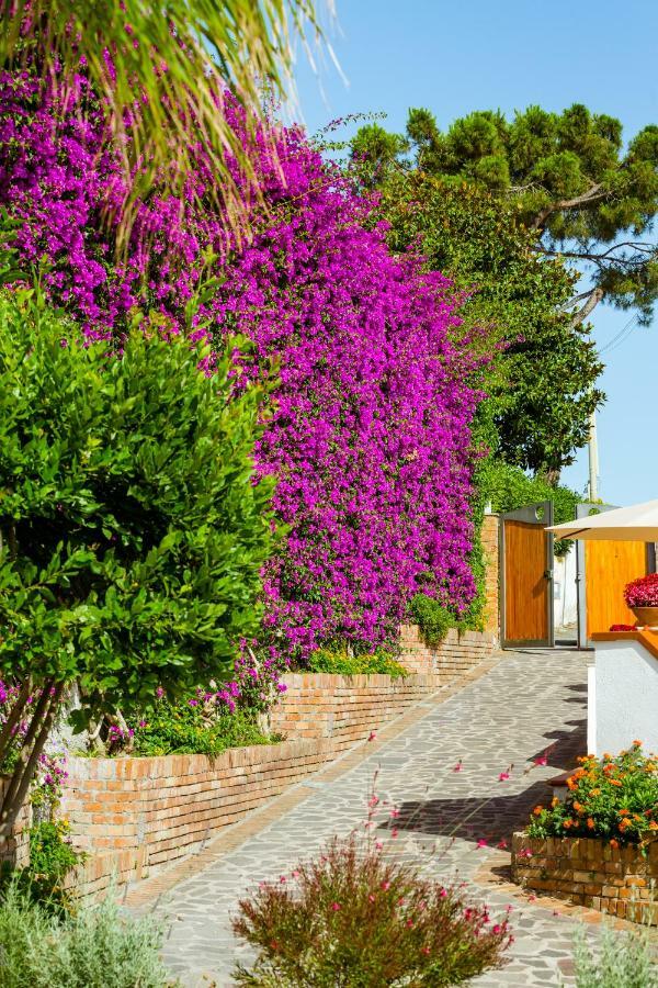 Villa Araucária Casamicciola Terme Exterior foto